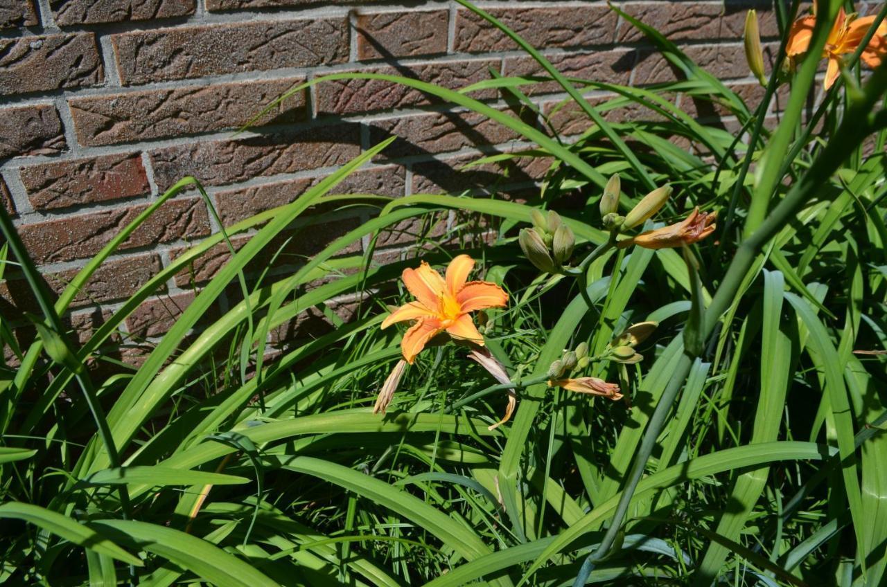 Ferienwohnung Kutter Im Schiffehaus Schillig Exterior foto
